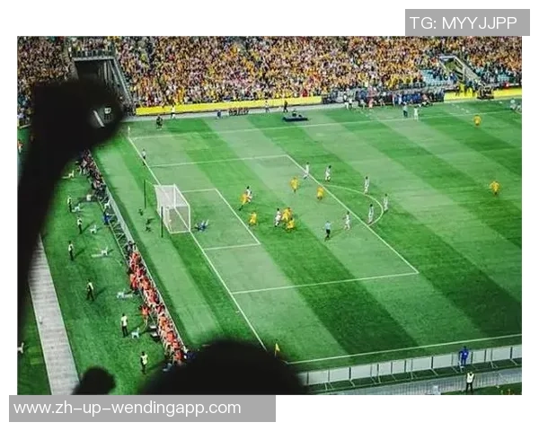 足球场上的激情与梦想绘成的艺术之旅